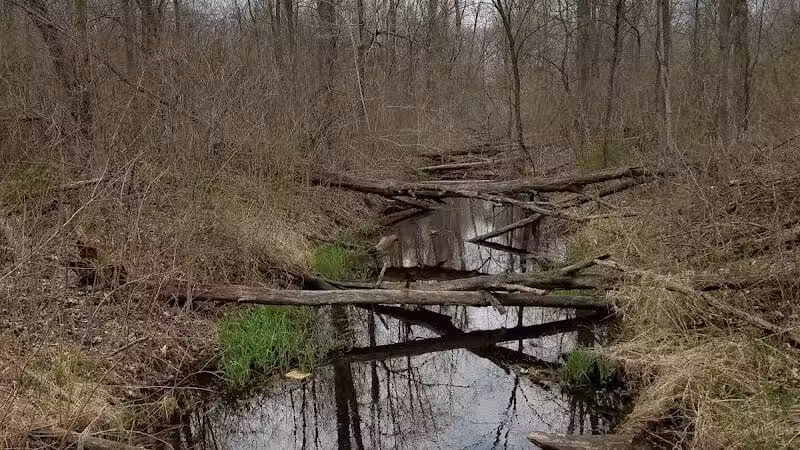 Lyon Oaks Dog Park - Wixom, MI