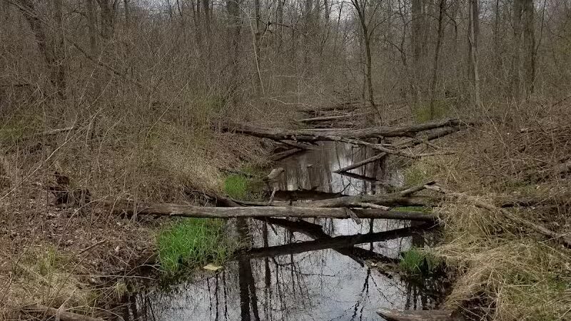 Lyon Oaks Dog Park - Wixom, MI