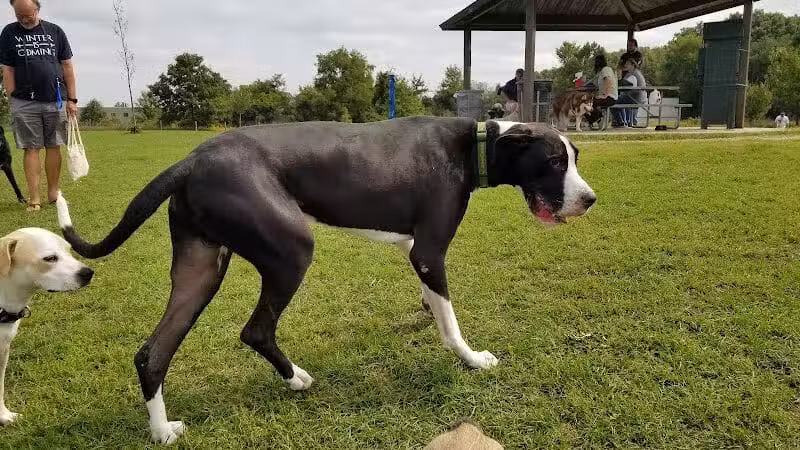 Lyon Oaks Dog Park - Wixom, MI