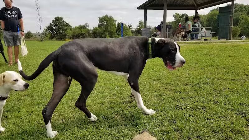 Lyon Oaks Dog Park - Wixom, MI