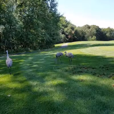 Lyon Oaks Dog Park - Wixom, MI