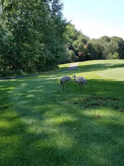 Lyon Oaks Dog Park - Wixom, MI