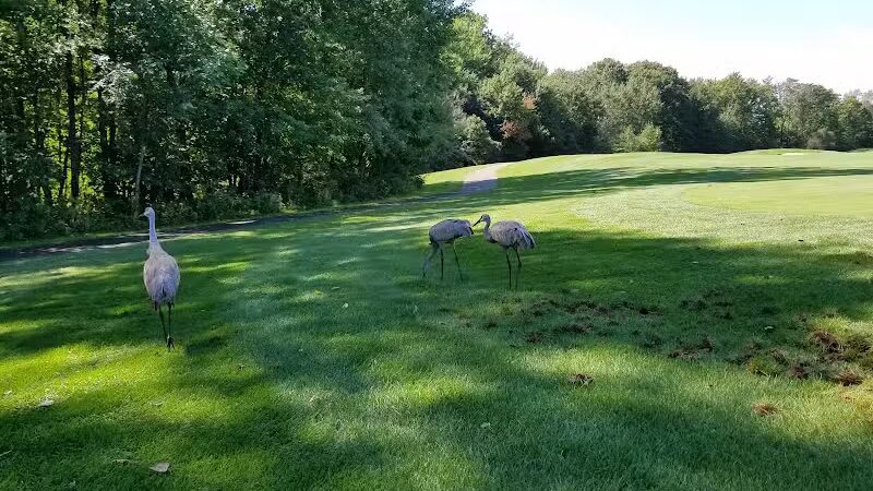 Lyon Oaks Dog Park - Wixom, MI
