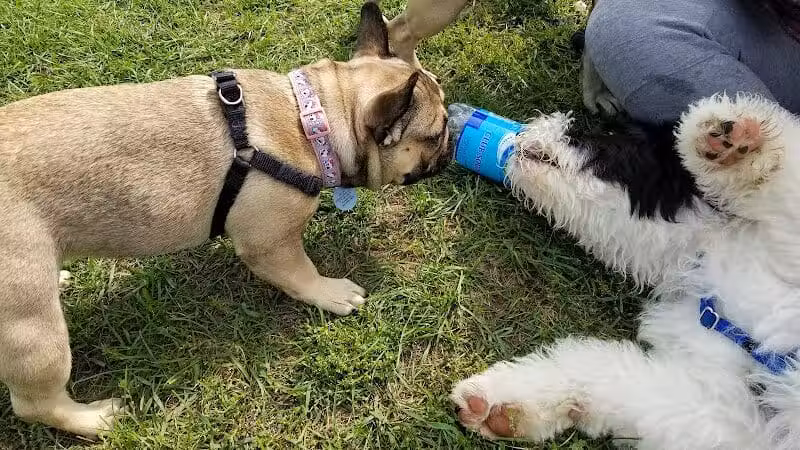 Lyon Oaks Dog Park - Wixom, MI