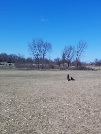 Lyon Oaks Dog Park - Wixom, MI