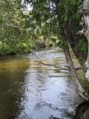 Wilmot Township Park - Wolverine, MI