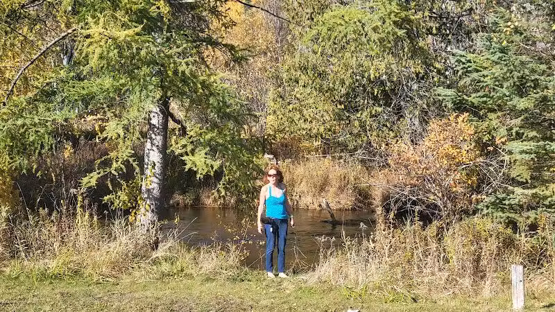 Wilmot Township Park - Wolverine, MI