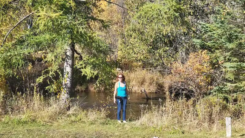 Wilmot Township Park - Wolverine, MI