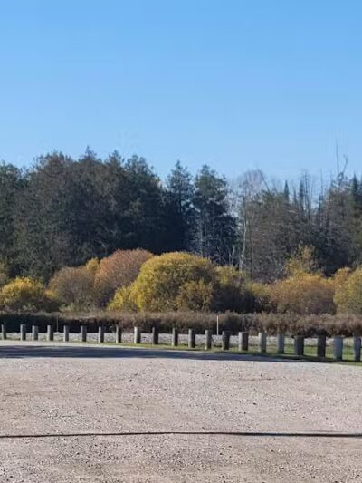 Wilmot Township Park - Wolverine, MI