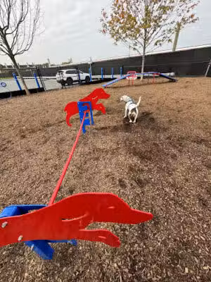 Wood-Ridge Dog Park - Wood-Ridge, NJ