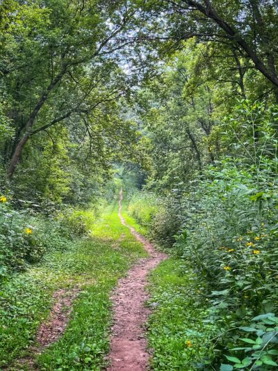 Andy's Bark Park - Woodbury, MN