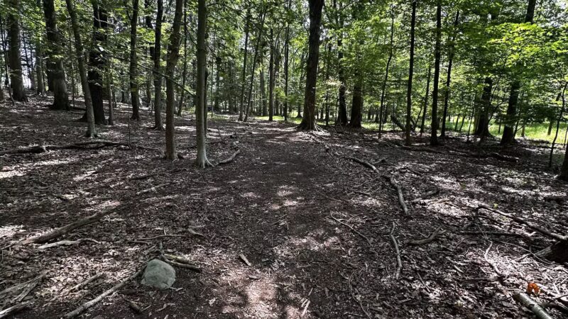 Wood Dale County Park - Woodcliff Lake, NJ