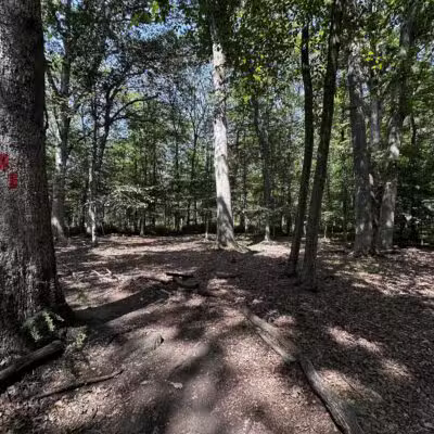 Wood Dale County Park - Woodcliff Lake, NJ