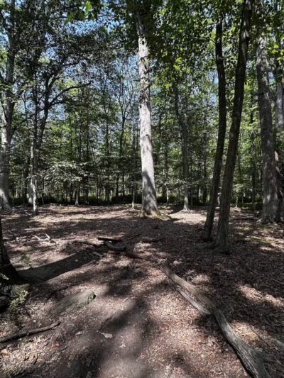 Wood Dale County Park - Woodcliff Lake, NJ