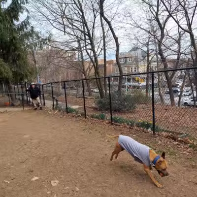 K9 Korral Dog Run - Woodhaven,