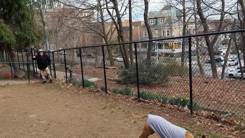 K9 Korral Dog Run - Woodhaven,