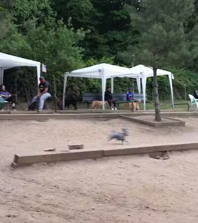 K9 Korral Dog Run - Woodhaven,