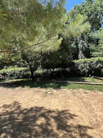 K9 Korral Dog Run - Woodhaven,