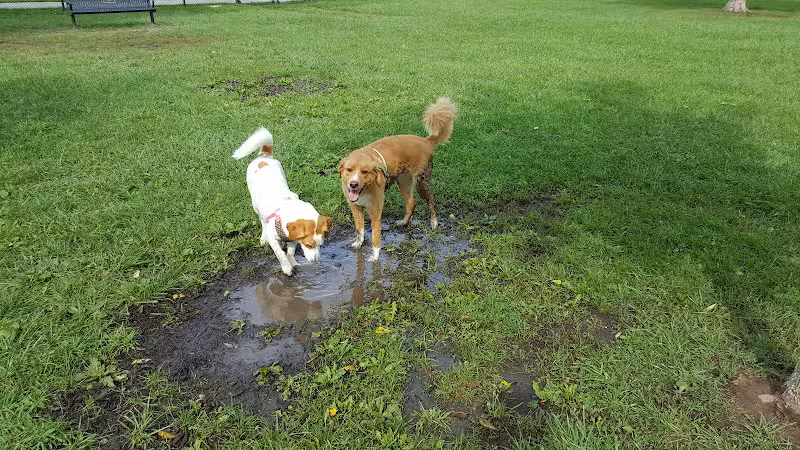 WOOFhaven Dog Park (Membership Required) - Woodhaven, MI