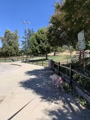 Serrania Park - Woodland Hills, CA