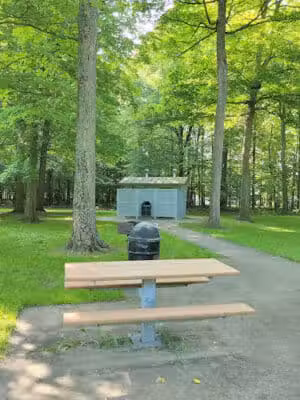 Woodland Roadside Park - Woodland,