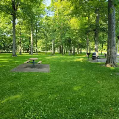 Woodland Roadside Park - Woodland,
