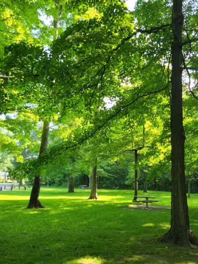 Woodland Roadside Park - Woodland,