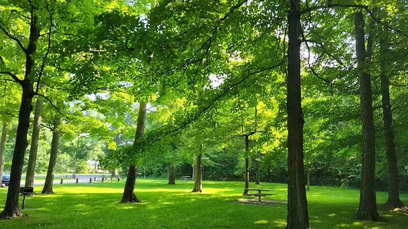 Woodland Roadside Park - Woodland,