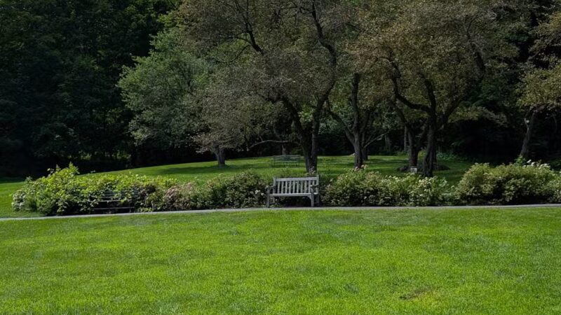 Faulkner Park - Woodstock, VT