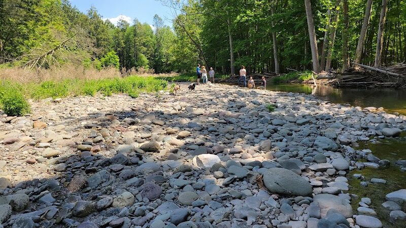 Woodstock Dog Park - Woodstock, NY
