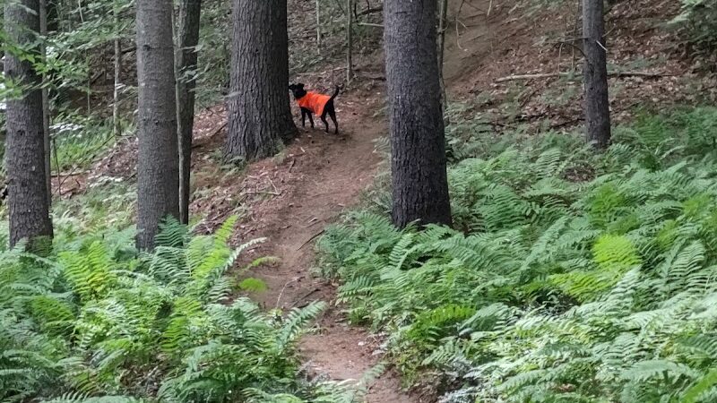 Aqueduct Trails - Woodstock, VT