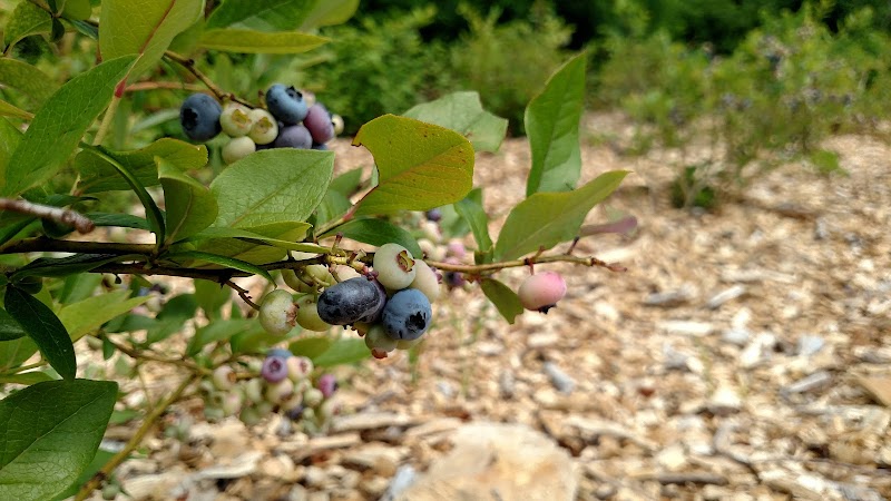 East End Park - Woodstock, VT