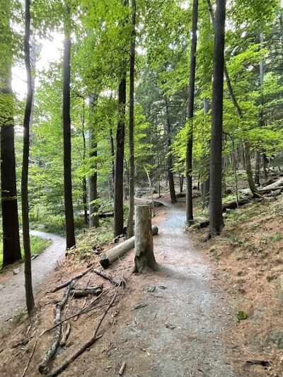 Faulkner Park - Woodstock, VT