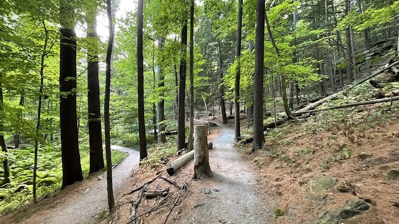 Faulkner Park - Woodstock, VT