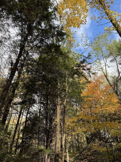 Faulkner Park - Woodstock, VT