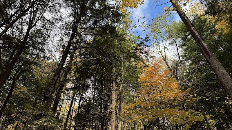 Faulkner Park - Woodstock, VT