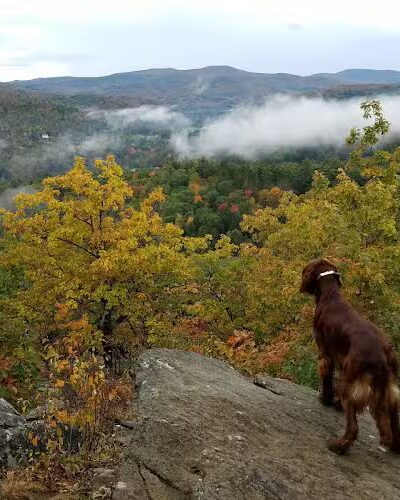 Faulkner Park - Woodstock, VT