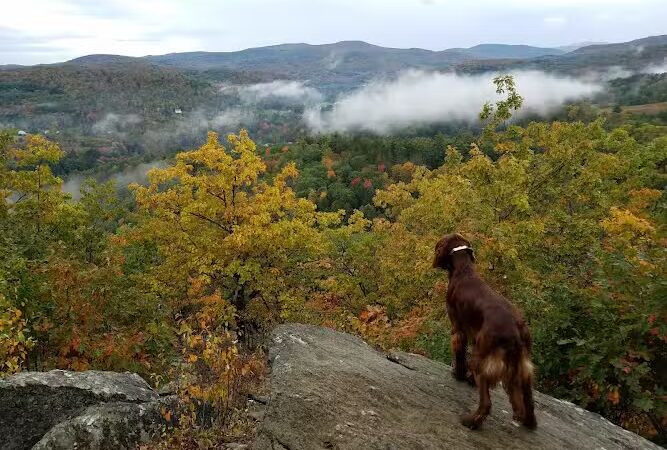 Faulkner Park - Woodstock, VT