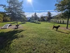 Fairview Park - Woodstock, VA