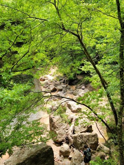 Clark Creek Hiking Trail - Woodville, MS