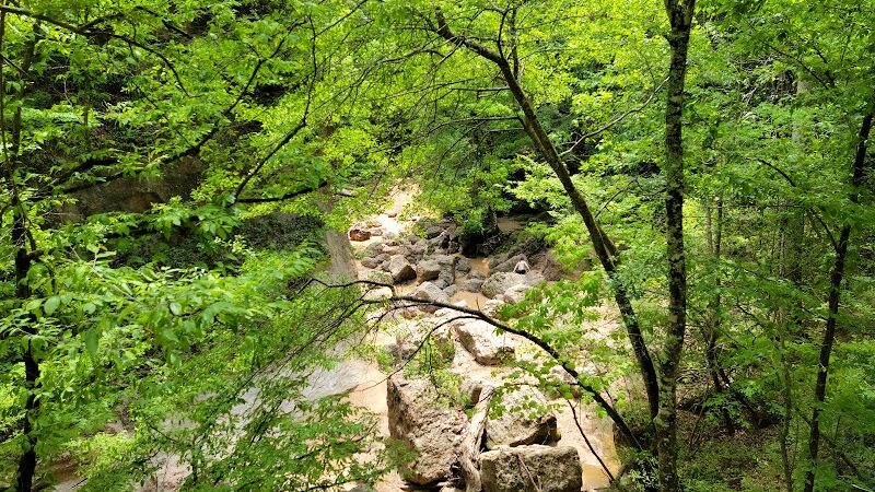 Clark Creek Hiking Trail - Woodville, MS