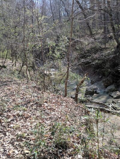 Clark Creek Hiking Trail - Woodville, MS