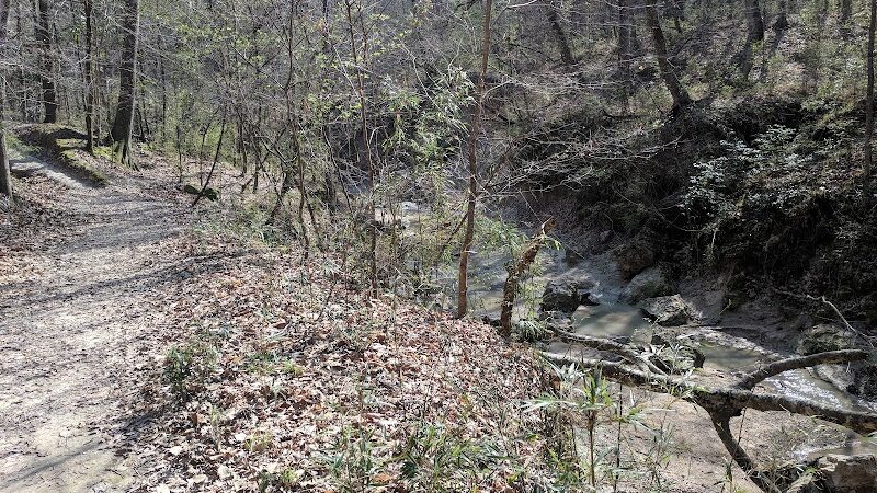 Clark Creek Hiking Trail - Woodville, MS