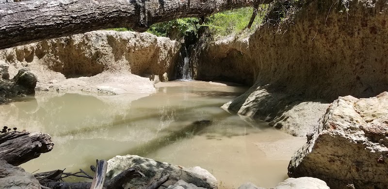 Clark Creek Hiking Trail - Woodville, MS