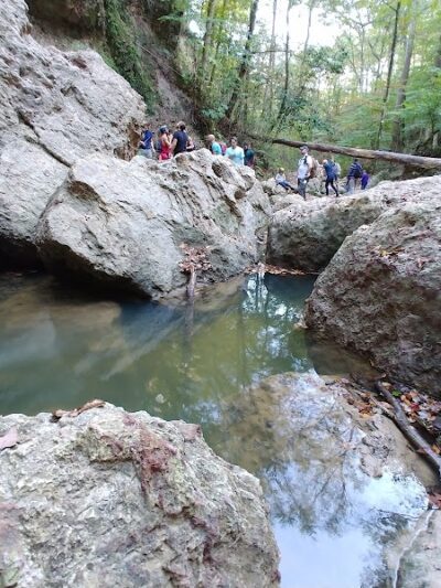 Clark Creek Hiking Trail - Woodville, MS