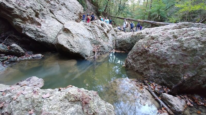 Clark Creek Hiking Trail - Woodville, MS