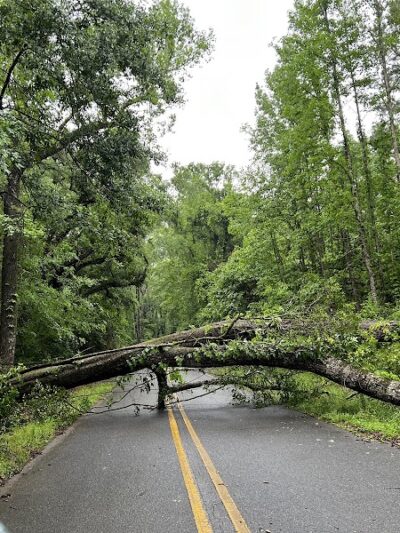 Clark Creek Hiking Trail - Woodville, MS