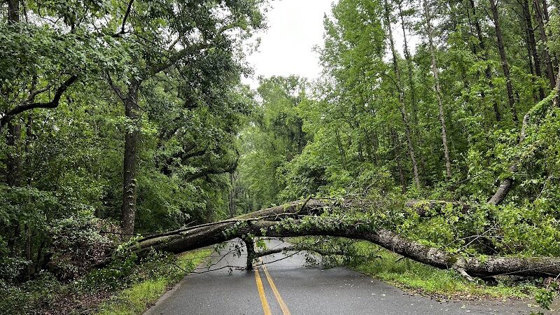 Clark Creek Hiking Trail - Woodville, MS