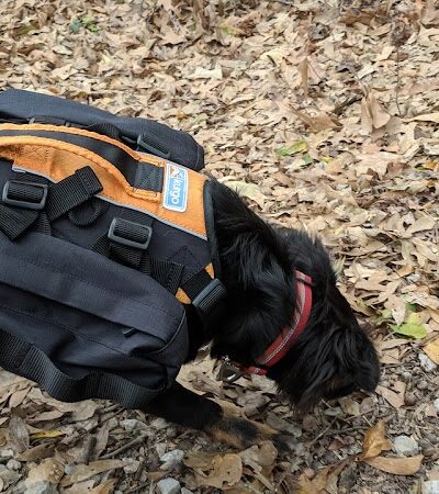 Clark Creek Hiking Trail - Woodville, MS