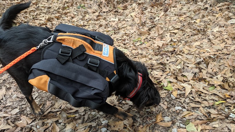 Clark Creek Hiking Trail - Woodville, MS